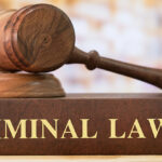 Florida Criminal Case